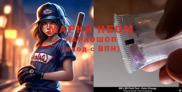 сатива Зеленокумск