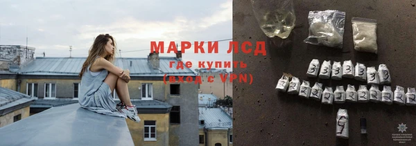 сатива Зеленокумск