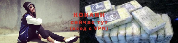 сатива Зеленокумск