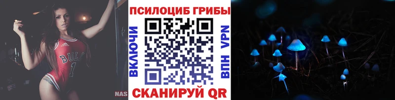 Купить где  Верхняя Салда  Галлюциногенные грибы мицелий 